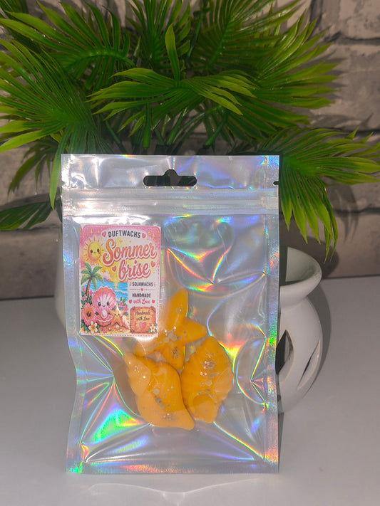 Duftwachs - Wax Melt - Sommerbrise - Muscheln - Art.Nr. W-0032
