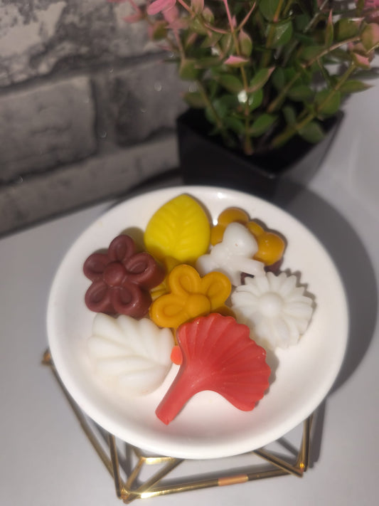 Duftwachs - Wax Melt - Waldgeflüster - Herbstblätter - Art. Nr. W-0050a