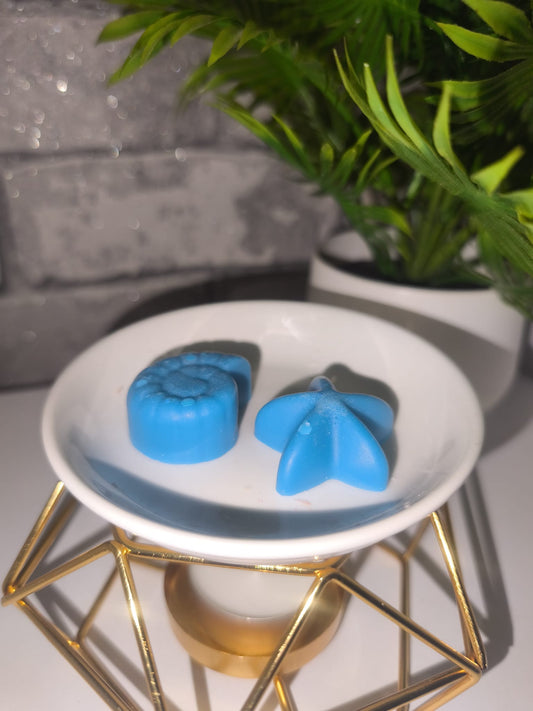 Duftwachs - Wax Melt - Sanfte Auszeit - Muscheln- Art.Nr. W-0022b