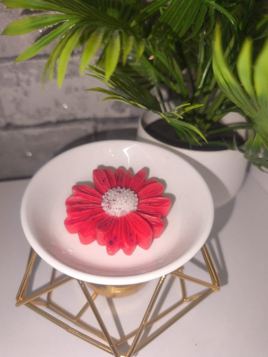 Duftwachs - Wax Melt - Zucker Beeren - Blume - Art.Nr. W-0027a
