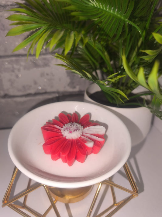 Duftwachs - Wax Melt - Zucker Beeren - Blume - Art.Nr. W-0027a